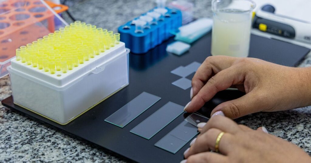seleon-expande-para-equinocultura-com-nova-central-de-genetica-no-brasil