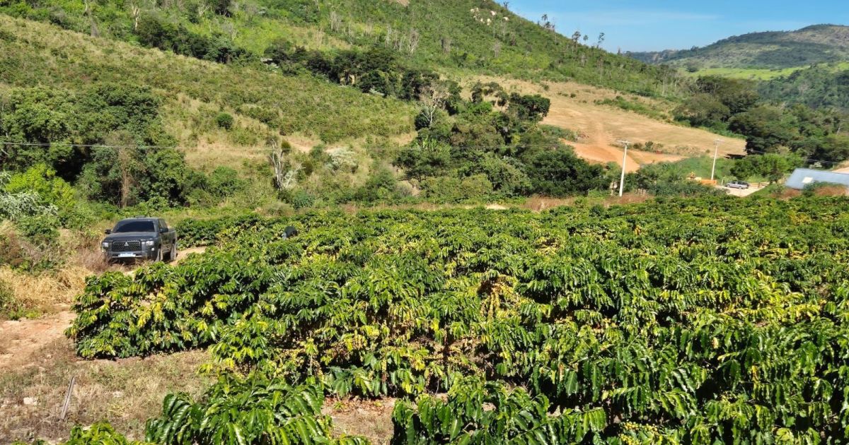 biodefensivos-tem-variacao-de-preco-de-ate-77%-no-brasil