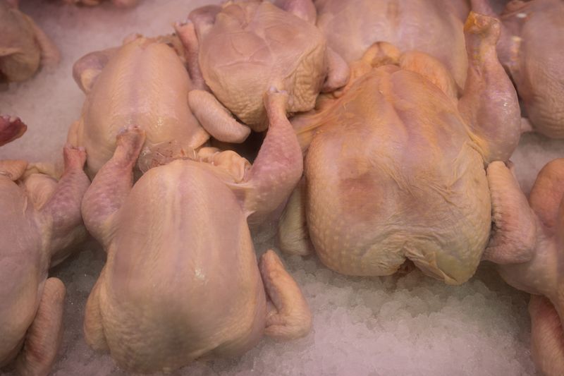 exportacoes-de-frango-batem-recorde-no-primeiro-semestre