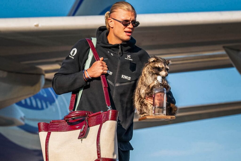 haaland-chega-a-noruega-com-guaxinim-empalhado-carregando-bebida