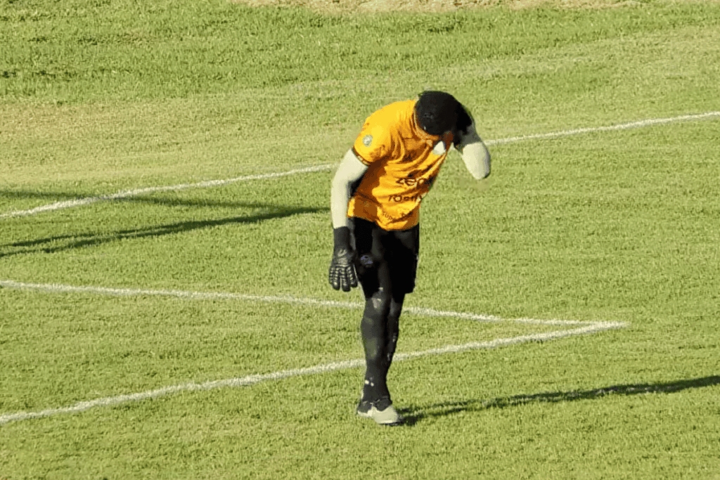serie-d-zeroum:-goleiro-do-iguatu-ce-e-atacado-por-formigas