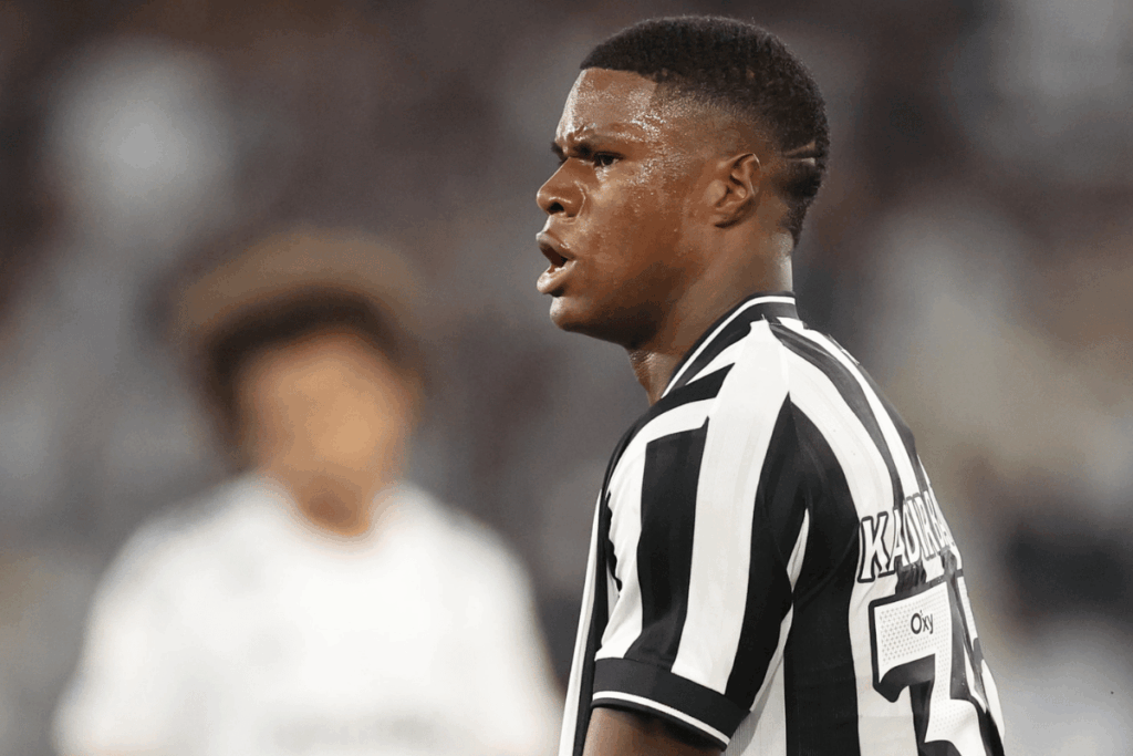 no-retorno-do-brasileirao,-botafogo-marca-no-fim-e-derrota-o-santos