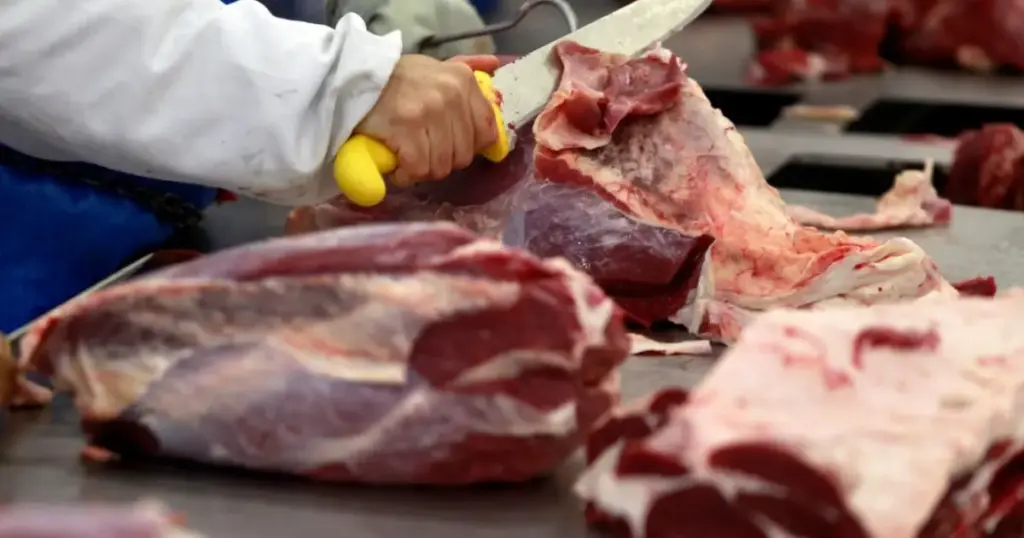 Carne bovina brasileira fica fora de sobretaxa de 12,5% dos EUA