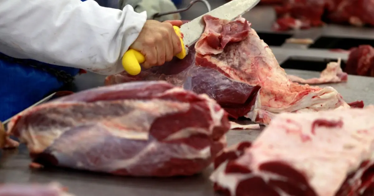 Carne bovina brasileira fica fora de sobretaxa de 12,5% dos EUA