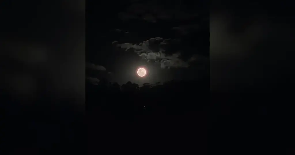 Veja imagens da Lua dos Cervos; fenômeno pode ser visto do Brasil