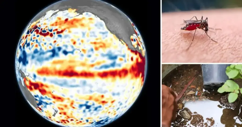 El Niño pode aumentar casos de dengue e chikungunya no Brasil; entenda