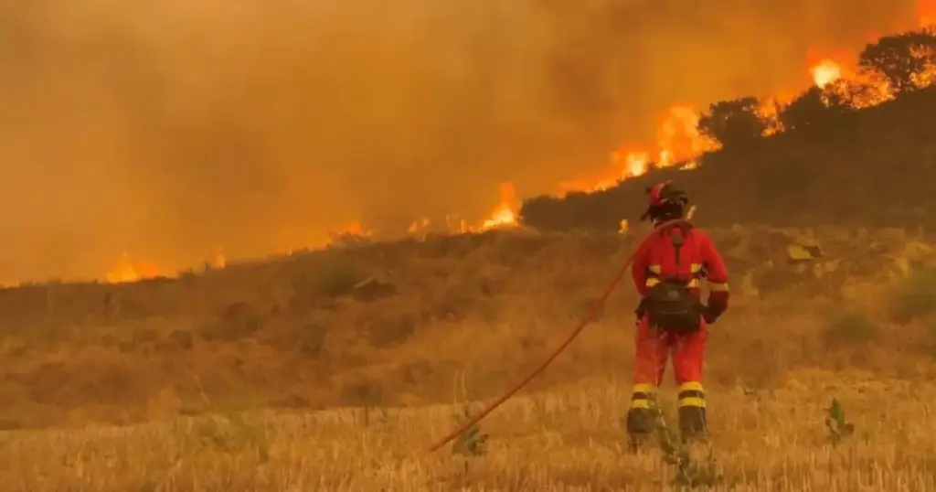 Incêndios florestais em Madri seguem “fora de controle”, dizem autoridades