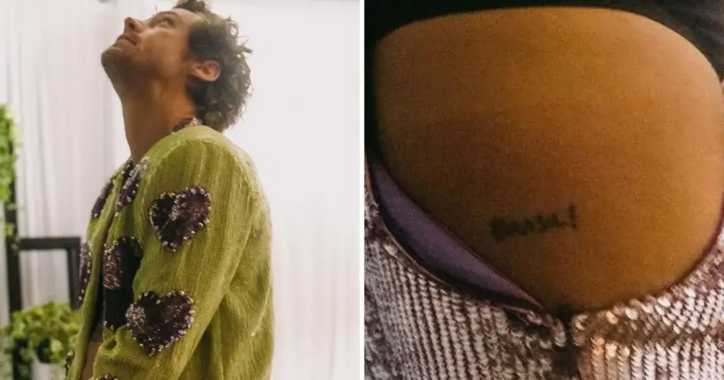 10 vezes que Harry Styles já provou que ama o Brasil