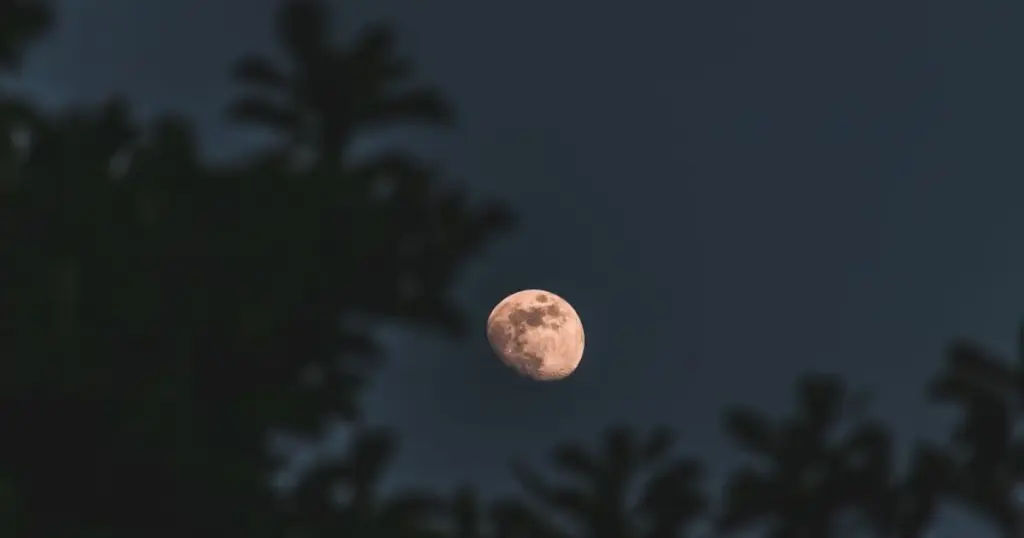 Lua dos Cervos: saiba o que evitar e se o seu signo será afetado