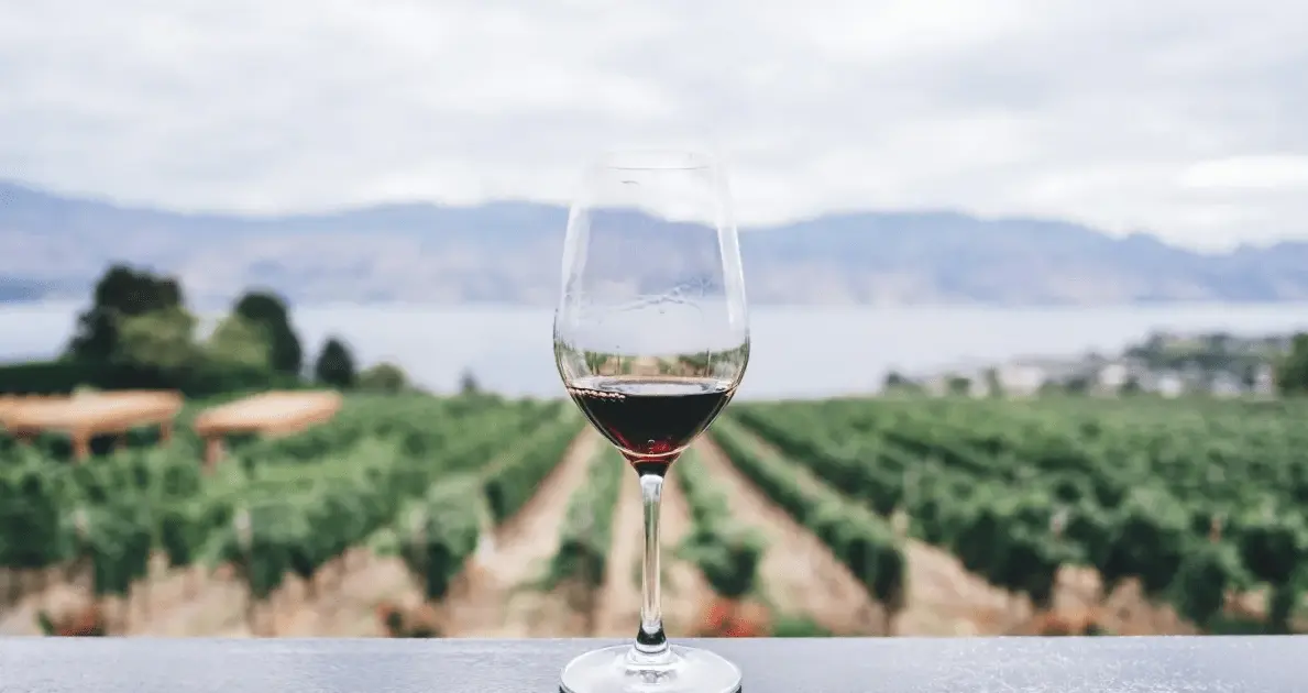 Tarifaço derruba em 39,6% exportações de vinho brasileiro aos EUA