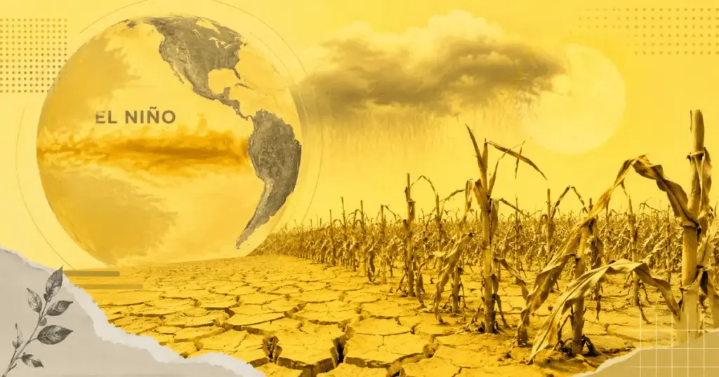 Estoques recordes e tecnologia amortecem impacto do El Niño