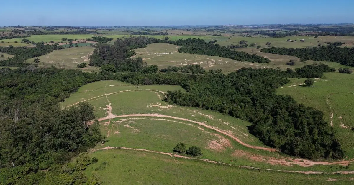Terra Santa reconhece perda contábil sobre 2,1 mil hectares em disputa