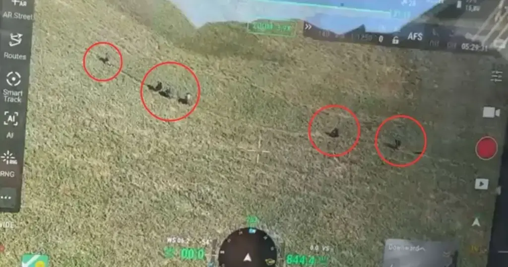 Vídeo: Drone da PM identifica criminosos fugindo por área de mata no Rio