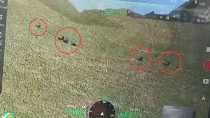 Vídeo: Drone da PM identifica criminosos fugindo por área de mata no Rio