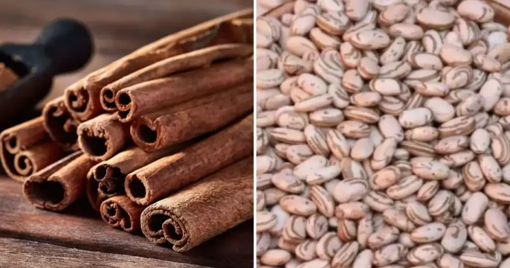 Inimigas da diabetes: entenda como canela e leguminosas controlam glicemia