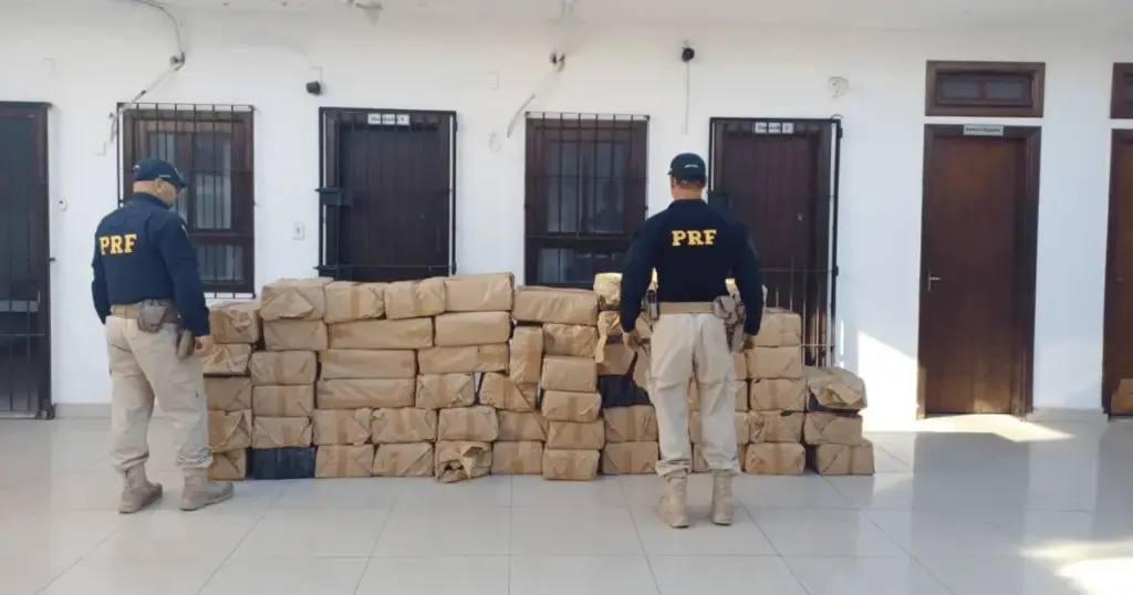 PRF apreende mais de uma tonelada de maconha na Rodovia Dutra, em SP