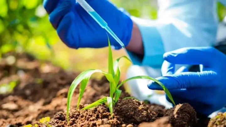 Agro pede acesso a decreto de regulamentação da Lei dos Bioinsumos