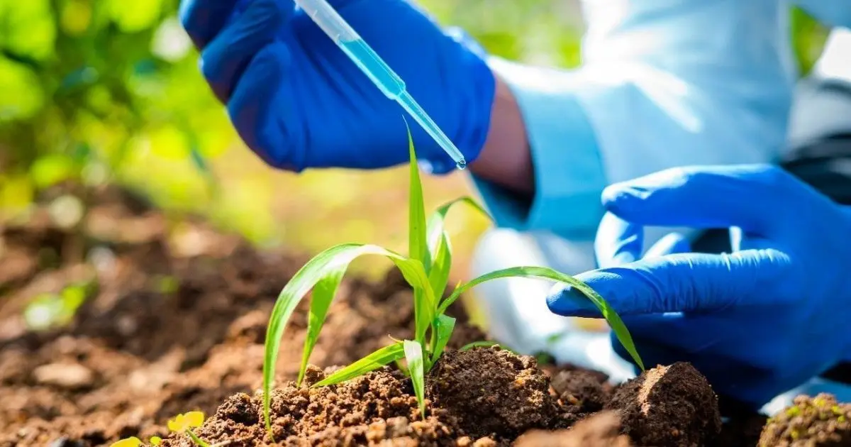 Agro pede acesso a decreto de regulamentação da Lei dos Bioinsumos