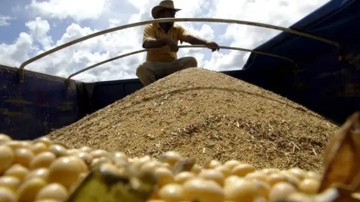 Boom da soja acabou’: margem deve cair a 2,8% em MT, diz Cogo