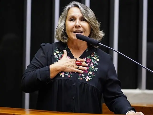 Quem é Erika Kokay, candidata ao Senado pelo Distrito Federal