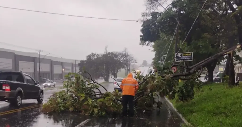 SP supera média de chuva mensal para setembro em apenas 10 dias