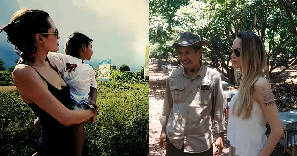 Plano de aposentadoria de Angelina Jolie tem projeto social, proteção de florestas e um terreno de 40 mil hectares no Camboja