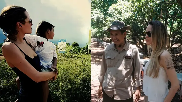 Plano de aposentadoria de Angelina Jolie tem projeto social, proteção de florestas e um terreno de 40 mil hectares no Camboja