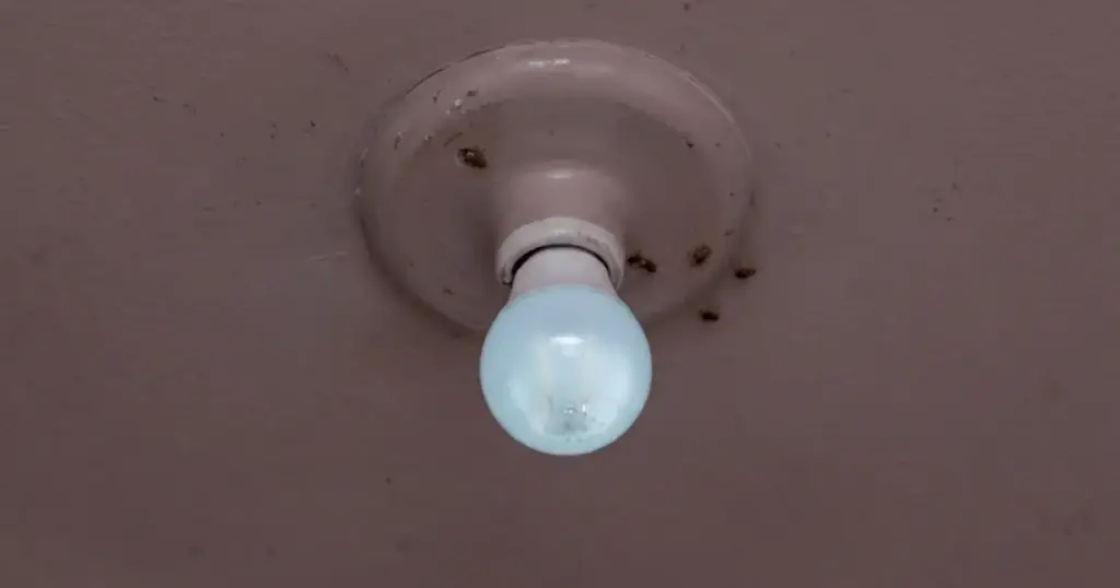 Por que a lâmpada LED fica meio acesa mesmo com o interruptor desligado?