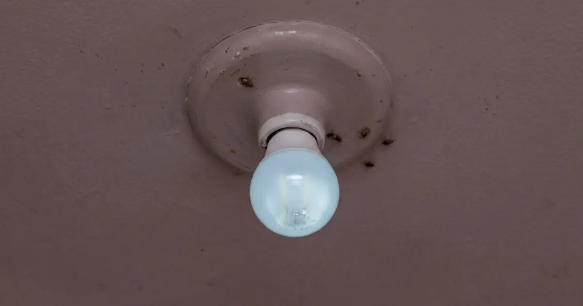 Por que a lâmpada LED fica meio acesa mesmo com o interruptor desligado?