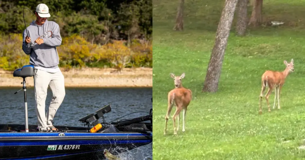 Americano ganha campeonato de pesca com estratégia inusitada: ‘perguntando’ aos cervos onde achar peixes