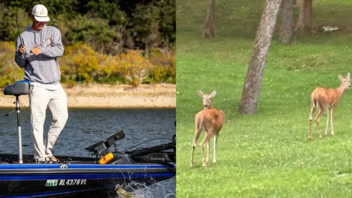 Americano ganha campeonato de pesca com estratégia inusitada: ‘perguntando’ aos cervos onde achar peixes