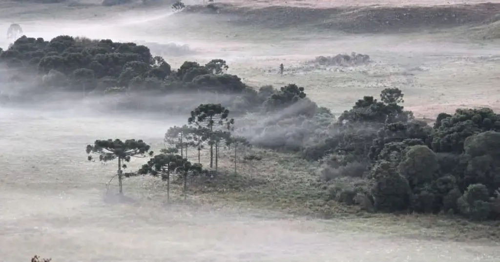 Massa de ar frio pode causar geadas e temperaturas negativas no Sul do país