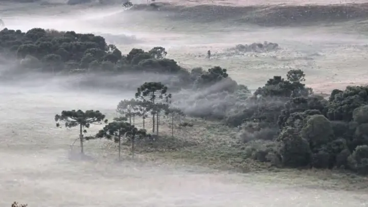 Massa de ar frio pode causar geadas e temperaturas negativas no Sul do país