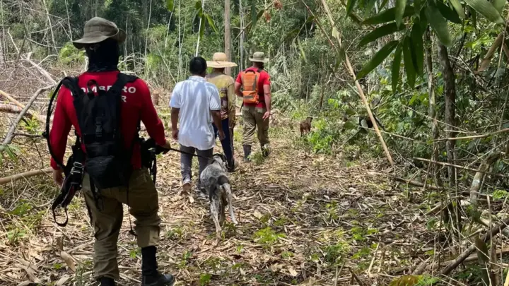 Sejusp diz que chances de bebê de nove meses ser encontrada com vida são remotas Buscas pela criança, sequestrada pelo próprio tio em Manoel Urbano, continuam com apoio de cães farejadores e drones