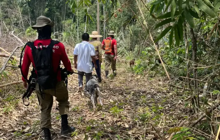 Sejusp diz que chances de bebê de nove meses ser encontrada com vida são remotas Buscas pela criança, sequestrada pelo próprio tio em Manoel Urbano, continuam com apoio de cães farejadores e drones