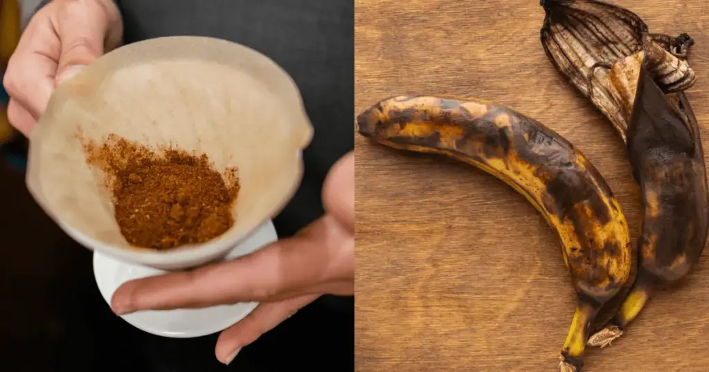 Misturar café usado com casca de banana e água: para que serve e por que usar? Entenda