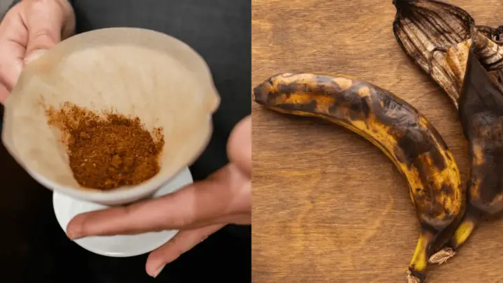 Misturar café usado com casca de banana e água: para que serve e por que usar? Entenda