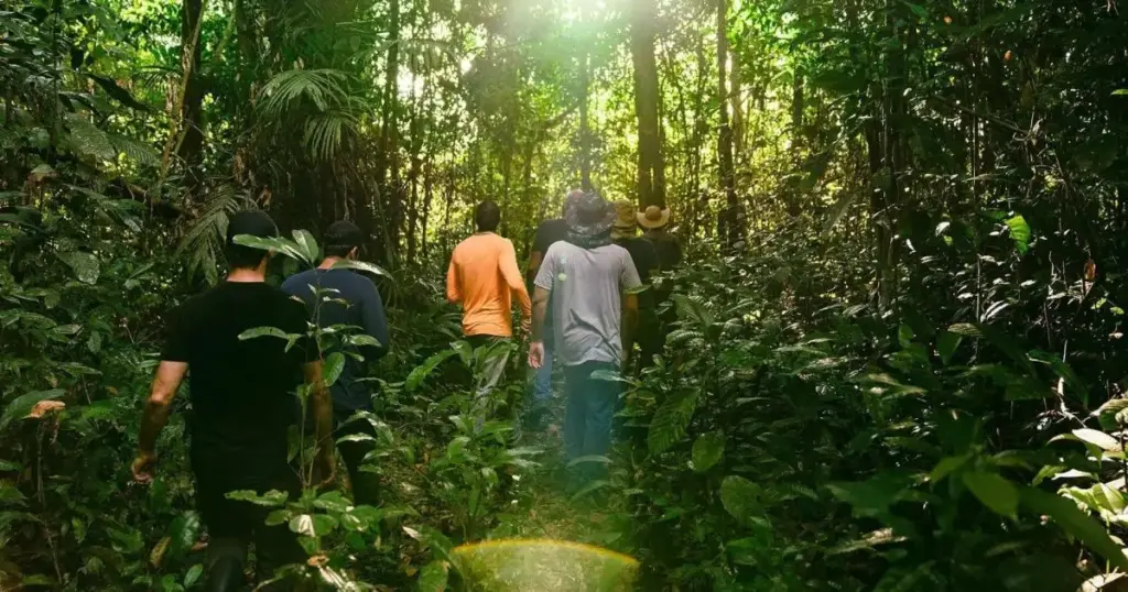 BNDES libera R$ 18 milhões para projeto agroflorestal em Roraima