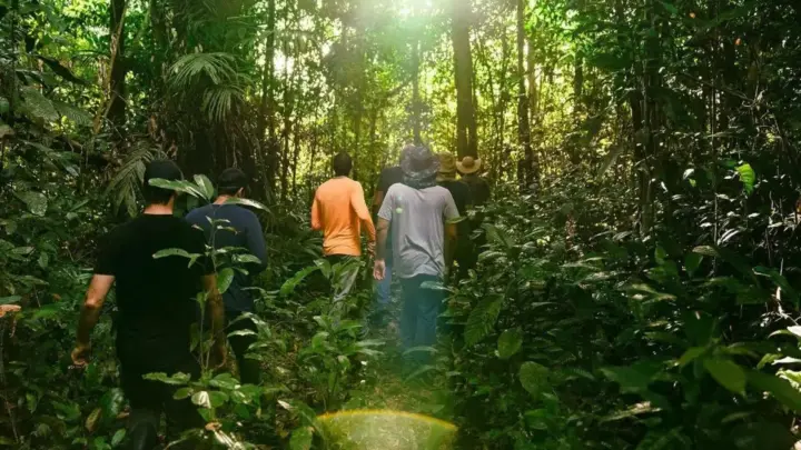 BNDES libera R$ 18 milhões para projeto agroflorestal em Roraima