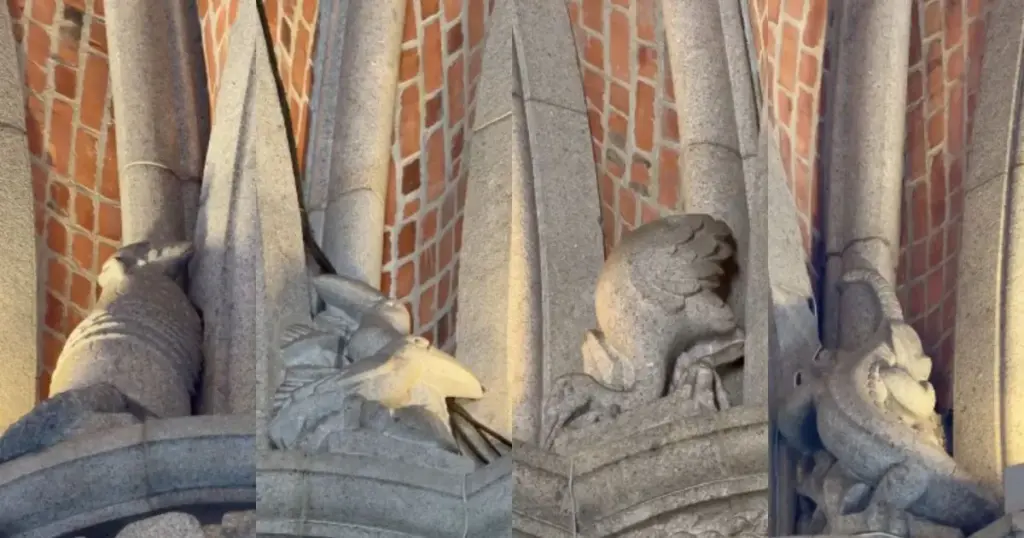 Tatu, tucano e até sapo; por que a Catedral da Sé em São Paulo possui esculturas de animais escondidas em toda a sua estrutura?