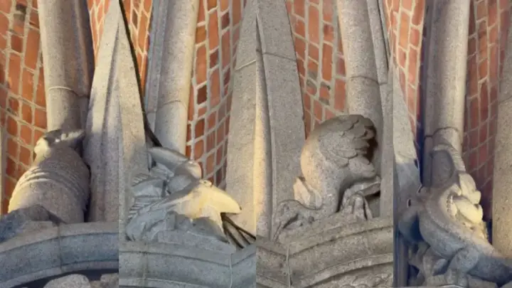 Tatu, tucano e até sapo; por que a Catedral da Sé em São Paulo possui esculturas de animais escondidas em toda a sua estrutura?
