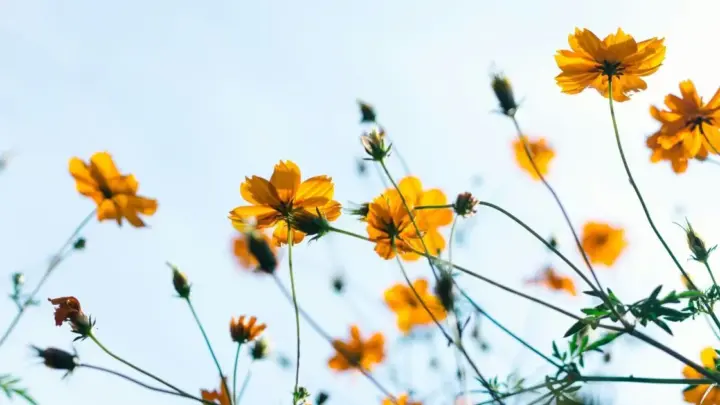 Calor, El Niño e tempestades: veja prognóstico para a primavera de 2026