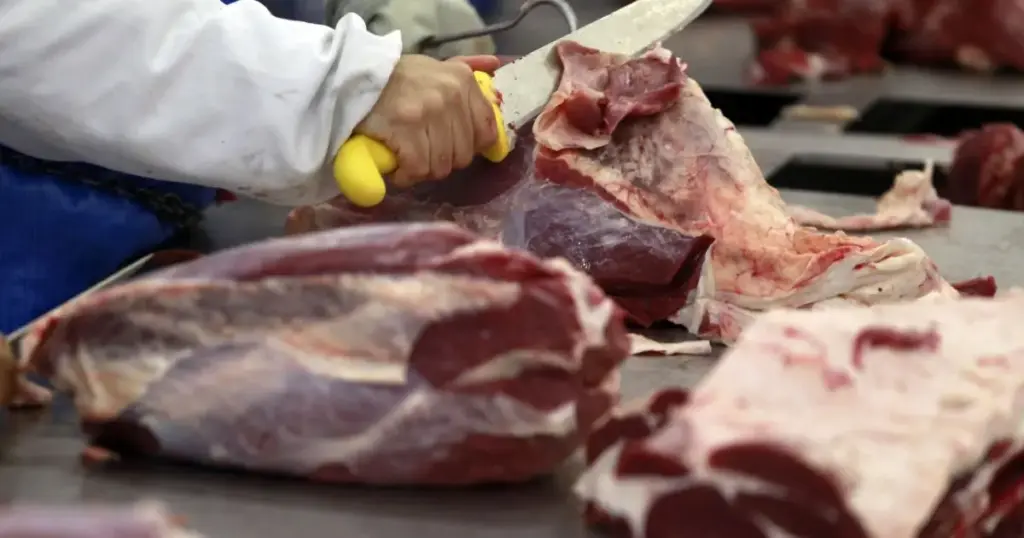 Indonésia habilita 21 novas plantas brasileiras de carne bovina