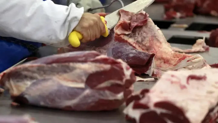 Indonésia habilita 21 novas plantas brasileiras de carne bovina