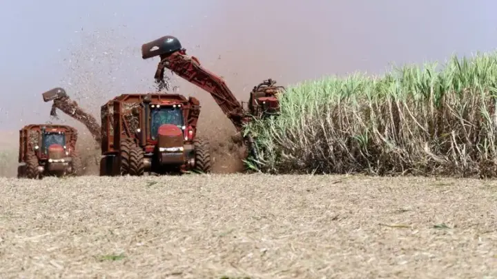 Agro paulista movimenta R$ 657,6 bilhões e responde por 18,9% do PIB