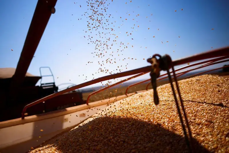 Kothe investe R$ 40 milhões em novo centro logístico no Piauí