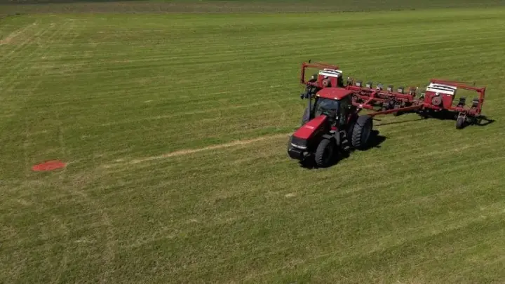 Onde está o agro? Veja as 10 cidades que lideram a produção no Brasil
