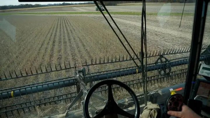 Preços à vista da soja sobem nos EUA e geram lucro para agricultores