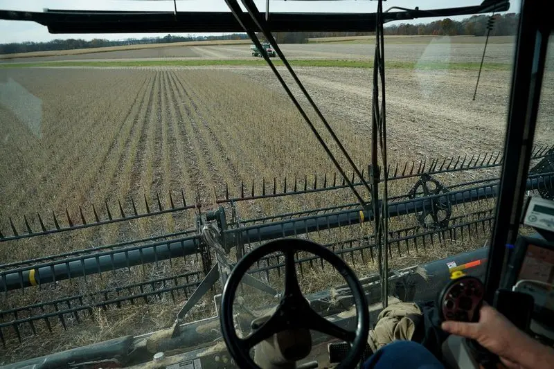 Preços à vista da soja sobem nos EUA e geram lucro para agricultores