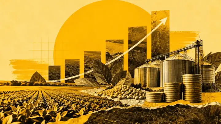Fiagro muda de perfil cinco anos após criação e amplia crédito no agro
